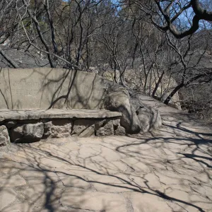 stone bench, Pritchett Bench, Pritchett Trail after the Jesusita Fire
