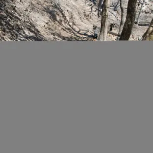 Burned railroad tie retaing wall on Pritchett Trail after the Jesusita Fire