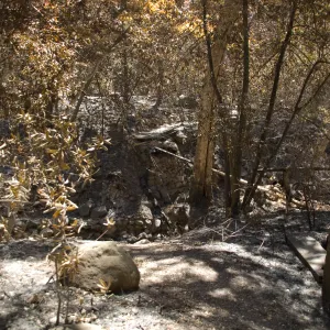 Campbell Bridge after the Jesusita Fire