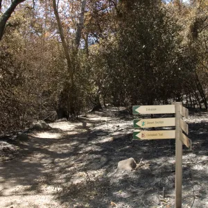 Directional signage on Canyon Trail after the Jesusita Fire