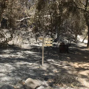 Directional sign on Canyon Trail after the Jesusita Fire
