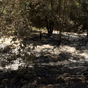 Aqueduct adjacent to Island Section after the Jesusita Fire