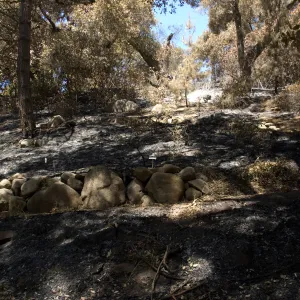 upper slope of Island Section after the Jesusita Fire