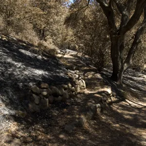 trail from Island Section after the Jesusita Fire