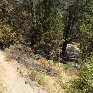 Easton Aqueduct Trail, just south of the Island Section after the Jesusita Fire