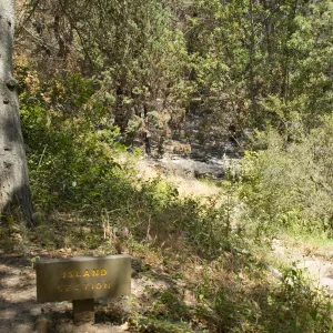 unburned Island Section sign after the Jesusita Fire