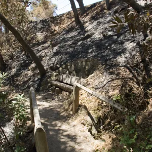 unburned wood bench and railings, in burned area just below Tunnel Road, after the Jesusita Fire