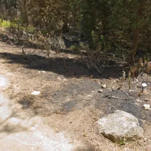 stone bench in Island Section after the Jesusita Fire