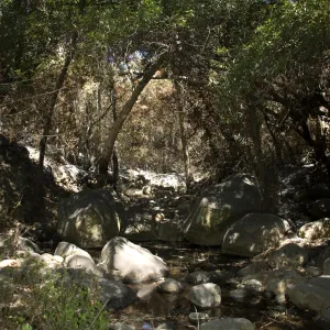 Mission Creek after the Jesusita Fire
