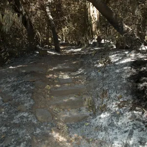 ash and stone steps on Creek Trail after the Jesusita Fire