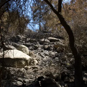 burned canyon slope after the Jesusita Fire