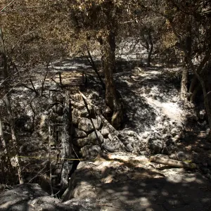 Santa Barbara Botanic Garden after the Jesusita Fire