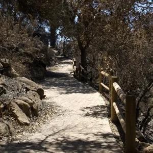Campbell Trail and adjacent burned vegetation after the Jesusita Fire