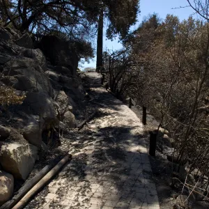 burned railings near top of the Campbell Trail, after the Jesusita Fire