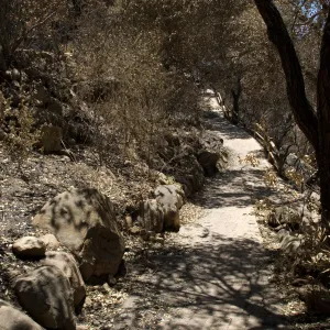 Campbell Trail and path to Picnic Area path after the Jesusita Fire