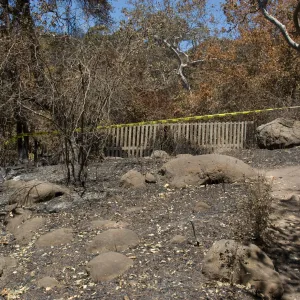 burned fence behind Picnic Area after the Jesusita Fire