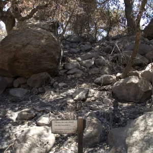 Boulders on slope above Picnic Area after the Jesusita Fire