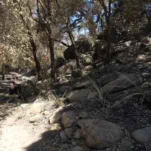 Picnic Area after the Jesusita Fire