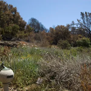 Sundial and Upper Meadow and Meadow View after the Jesusita Fire