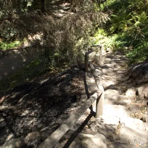 Indian Steps after the Jesusita Fire