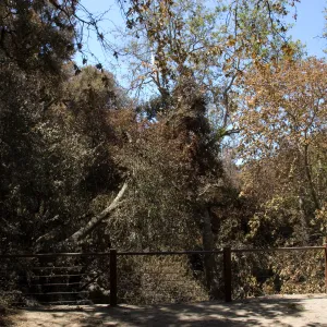 top of Mission Dam after the Jesusita Fire
