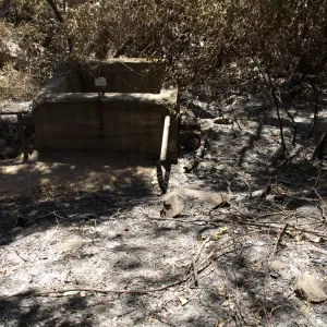 Aqueduct after the Jesusita Fire