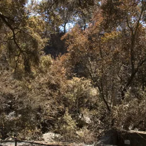 Fiber Arts Display and old aqueduct after the Jesusita Fire