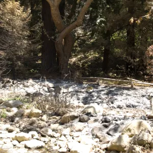 Mission Creek above Mission dam after the Jesusita Fire