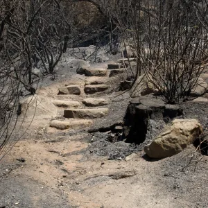stone steps on Woodland Trail after the Jesusita Fire