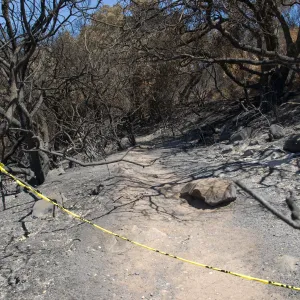 Woodland Trail adjacent to Mission Canyon Road after the Jesusita Fire
