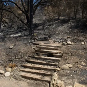 Wood steps at top of Meadow View after the Jesusita Fire