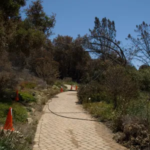 Meadow and Meadow View after the Jesusita Fire