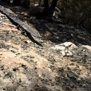 burned remains of the Home demonstration deck after the Jesusita Fire