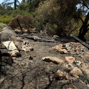 viewing the remains of the Home Demonstration deck after the Jesusita Fire