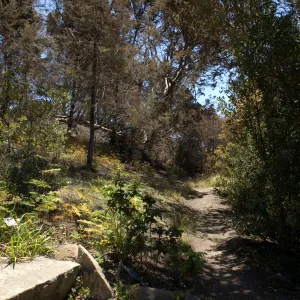 Porter Trail after the Jesusita Fire
