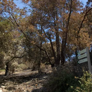 Porter Trail entrance from Mission Canyon Road after the Jesusita Fire