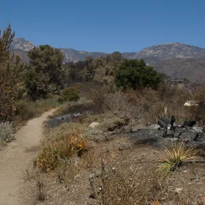 Porter Trail after the Jesusita Fire
