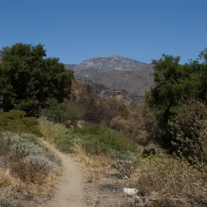 Porter Trail with Santa Ynez mountians behind, after the Jesusita Fire