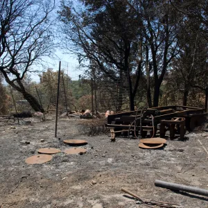 burned area adjacent to Chip Pile and Porter Trail, after the Jesusita Fire