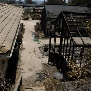 Hort Unit and burned lath houses, after the Jesusita Fire