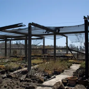 potted plants burned at the Horticulture Nursery growing area, after the Jesusita Fire