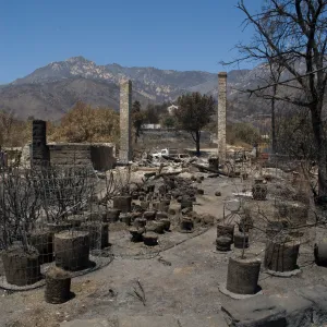 Gane House site, after the Jesusita Fire