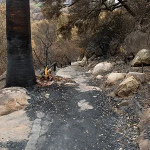 top of Campbell Trail, after the Jesusita Fire