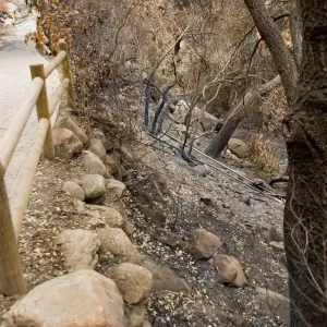unburned railings along the Campbell Trail, after the Jesusita Fire