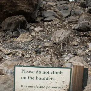 burned sign on Campbell Trail slope, after the Jesusita Fire