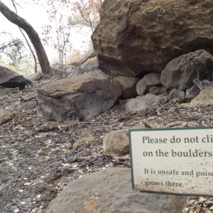 burned sign on Campbell Trail slope, after the Jesusita Fire