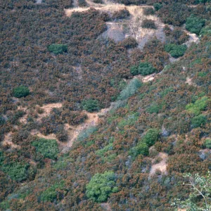 SBBG_BD_01230.jpg