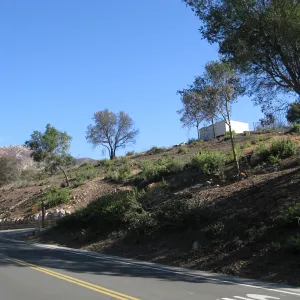 Clearing along Mission Canyon Rd, nearing drive to Hort Unit