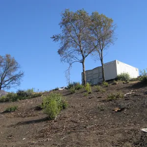 Cleared Cypress section after Jesusita Fire