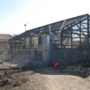 Shade House in the Hort Unit